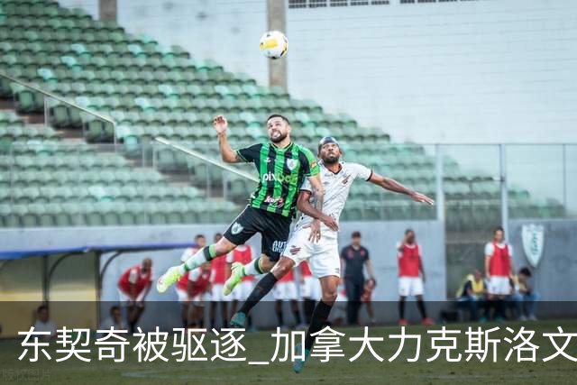东契奇被驱逐 加拿大力克斯洛文尼亚晋级四强